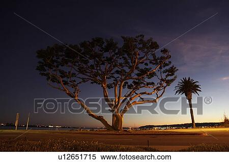 Stock Photography - San Diego. Fotosearch