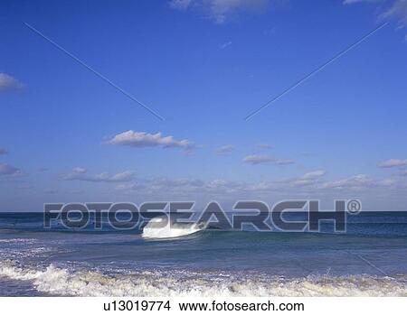 Sea, Florida, USA View Large Photo Image Picture - Sea, Florida, USA. Fotosearch