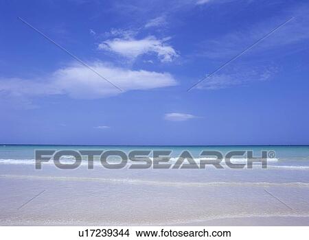 Sea, Florida, USA View Large Photo Image Picture - Sea, Florida, USA. Fotosearch