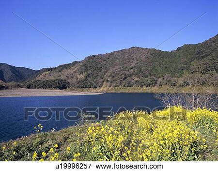 Shimanto river and Iwama bridge View Large Photo Image Stock Photo - Shimanto river and Iwama bridge . Fotosearch