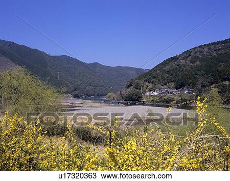 Stock Image - Shimanto river and Kuchiyanai bridge . Fotosearch