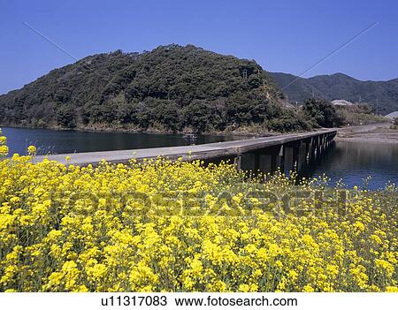 Shimanto river and Misato bridge View Large Photo Image Stock Image - Shimanto river and Misato bridge . Fotosearch