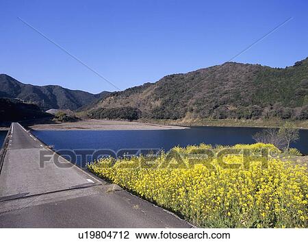Stock Image - Shimanto river and Misato bridge . Fotosearch