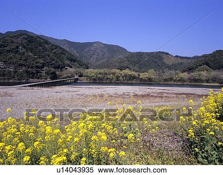 Stock Photography - Shimanto river and Misato bridge . Fotosearch