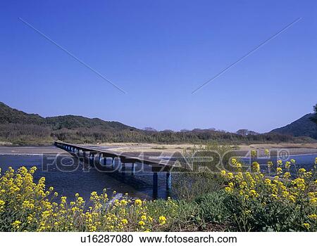 Shimanto river and Sata bridge View Large Photo Image Stock Image - Shimanto river and Sata bridge . Fotosearch