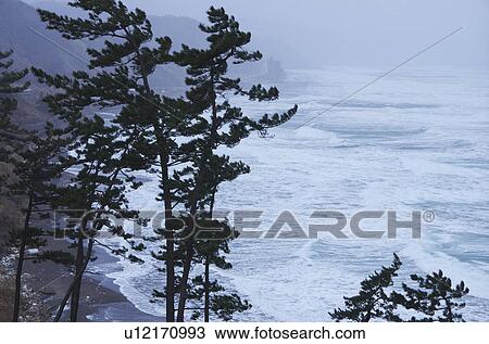 Shirasaki Coast View Large Photo Image Stock Image - Shirasaki Coast. Fotosearch
