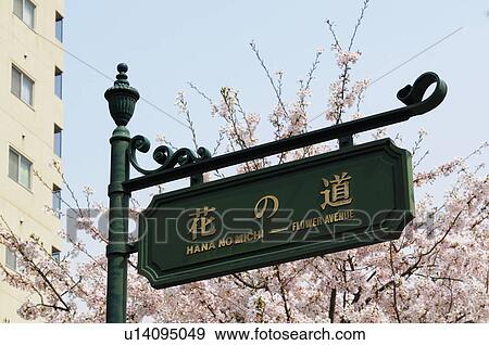 Stock Photo - Sign in front of cherry tree. Fotosearch