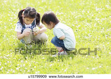 Sister and Brother Collecting Flowers View Large Photo Image Stock Photo - Sister and Brother Collecting Flowers. Fotosearch