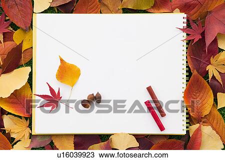 Sketchbook, Crayons and Autumn Leaves View Large Photo Image Stock Image - Sketchbook, Crayons and Autumn Leaves. Fotosearch