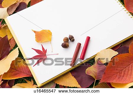 Sketchbook, Crayons and Autumn Leaves View Large Photo Image Stock Photo - Sketchbook, Crayons and Autumn Leaves. Fotosearch