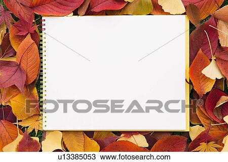 Sketchbook on a Bed of Autumnal Leaves View Large Photo Image Stock Image - Sketchbook on a Bed of Autumnal Leaves. Fotosearch