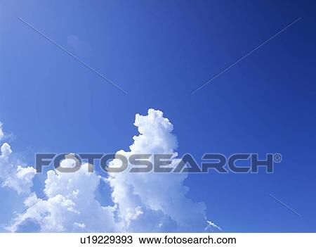 Sky only, Florida, USA View Large Photo Image Stock Image - Sky only, Florida, USA. Fotosearch