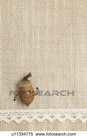 Smiling face on acorn View Large Photo Image Stock Photography - Smiling face on acorn. Fotosearch