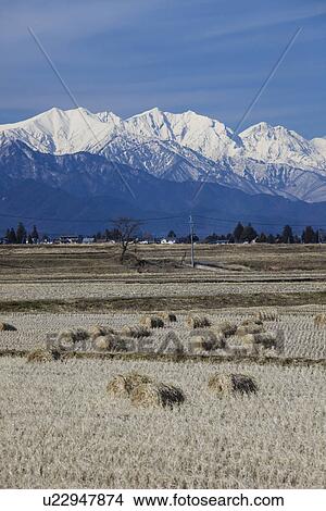 Picture - Snowcapped mountain chain behind rural landscape. Fotosearch