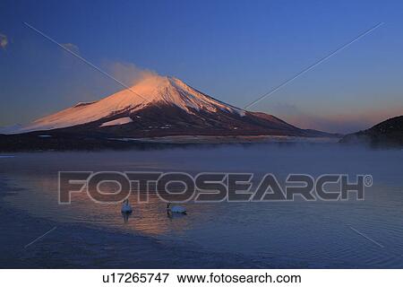 Snowcapped mountain peak and a lake View Large Photo Image Stock Photo - Snowcapped mountain peak and a lake. Fotosearch
