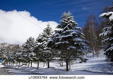 Snowcapped mountain road View Large Photo Image Picture - Snowcapped mountain road. Fotosearch