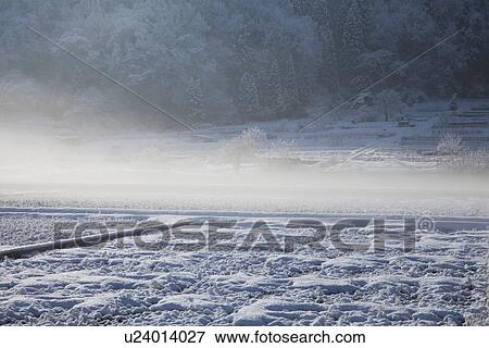 Snowcapped rice field View Large Photo Image Stock Photo - Snowcapped rice field. Fotosearch