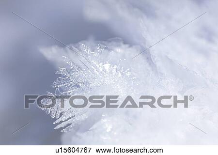 Stock Photo - Snowflakes, close-up, Hokkaido Prefecture, Japan. Fotosearch