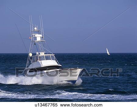 Speedboat, Florida, USA View Large Photo Image Stock Photography - Speedboat, Florida, USA. Fotosearch