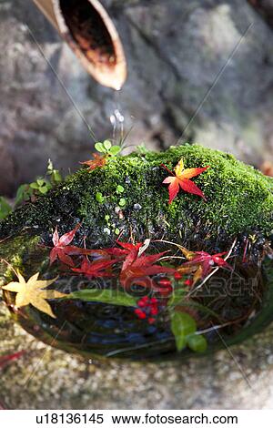 Spring In Japanese Garden View Large Photo Image Stock Photography - Spring In Japanese Garden. Fotosearch