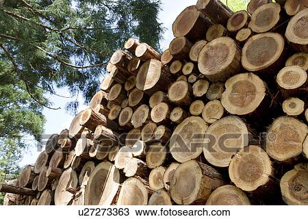 Stock Image - Stack of logs. Fotosearch