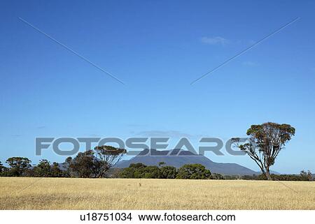 Picture - Stirling Range. Fotosearch