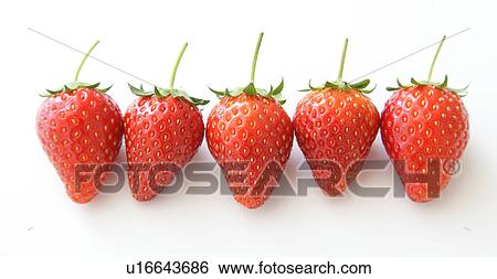 Strawberries in a row View Large Photo Image Stock Photograph - Strawberries in a row. Fotosearch