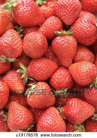 Stock Photo - Strawberries. Fotosearch