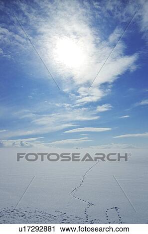 Sun Shining Over Winter Landscpae View Large Photo Image Stock Image - Sun Shining Over Winter Landscpae. Fotosearch