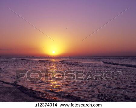 Picture - Sunrise at the beach, Florida, USA. Fotosearch