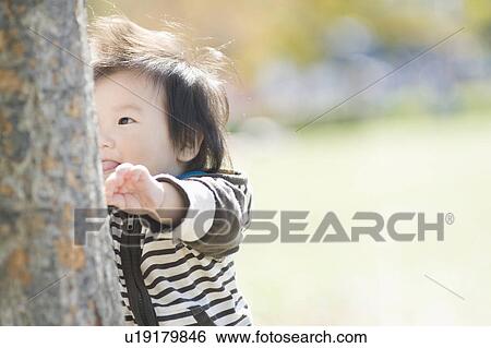 Toddler hiding behind tree View Large Photo Image Stock Photograph - Toddler hiding behind tree. Fotosearch