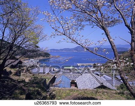 Townscape of Ainan Town, Ehime Prefecture, Japan View Large Photo Image Stock Image - Townscape of Ainan Town, Ehime Prefecture, Japan. Fotosearch