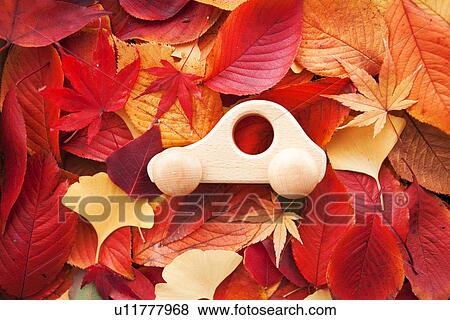 Stock Photo - Toy Car on a Bed of Leaves. Fotosearch