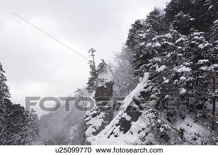 Trees and rock in winter View Large Photo Image Stock Image - Trees and rock in winter. Fotosearch