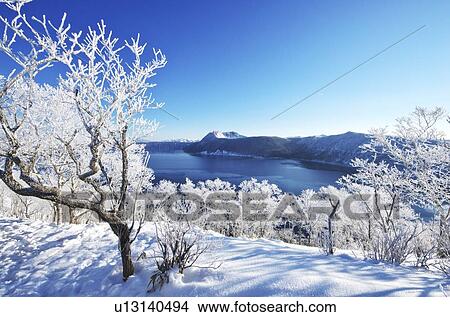 Trees Near Lake Mashu In Winter View Large Photo Image Picture - Trees Near Lake Mashu In Winter. Fotosearch
