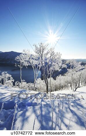 Trees Near Lake Mashu In Winter View Large Photo Image Stock Image - Trees Near Lake Mashu In Winter. Fotosearch