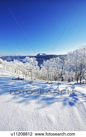 Trees Near Lake Mashu In Winter View Large Photo Image Stock Image - Trees Near Lake Mashu In Winter. Fotosearch