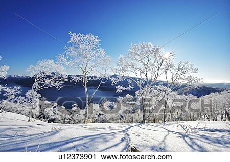 Trees Near Lake Mashu In Winter View Large Photo Image Stock Image - Trees Near Lake Mashu In Winter. Fotosearch