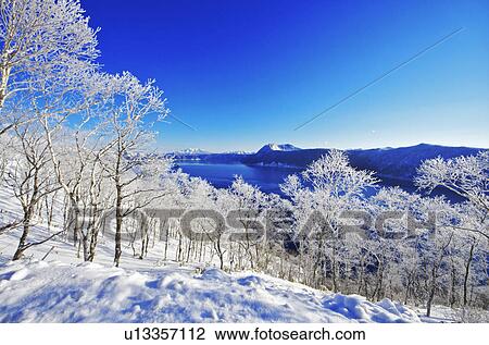 Trees Near Lake Mashu In Winter View Large Photo Image Stock Image - Trees Near Lake Mashu In Winter. Fotosearch
