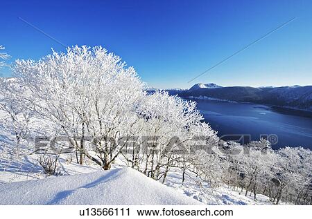 Trees Near Lake Mashu In Winter View Large Photo Image Stock Image - Trees Near Lake Mashu In Winter. Fotosearch