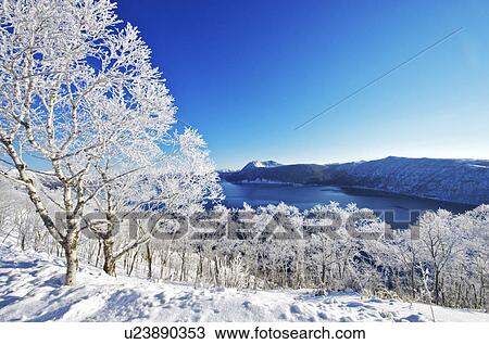 Trees Near Lake Mashu In Winter View Large Photo Image Stock Image - Trees Near Lake Mashu In Winter. Fotosearch