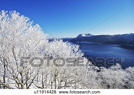 Trees Near Lake Mashu In Winter View Large Photo Image Stock Photo - Trees Near Lake Mashu In Winter. Fotosearch