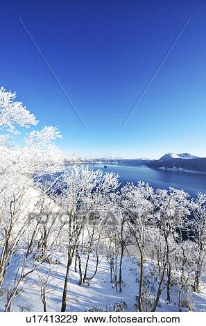 Trees Near Lake Mashu In Winter View Large Photo Image Stock Photo - Trees Near Lake Mashu In Winter. Fotosearch