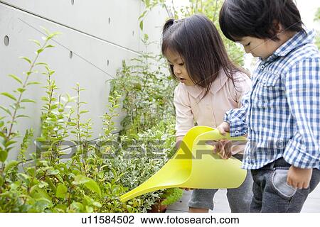 Two children watering plants View Large Photo Image Stock Image - Two children watering plants. Fotosearch
