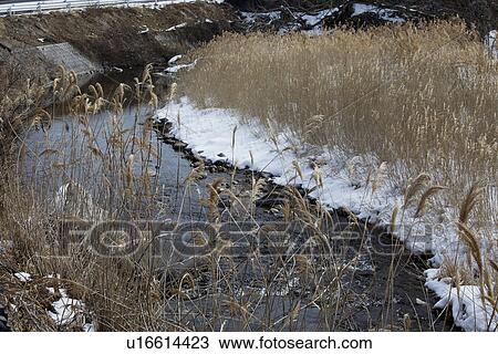 Uchimura river in winter View Large Photo Image Stock Image - Uchimura river in winter. Fotosearch