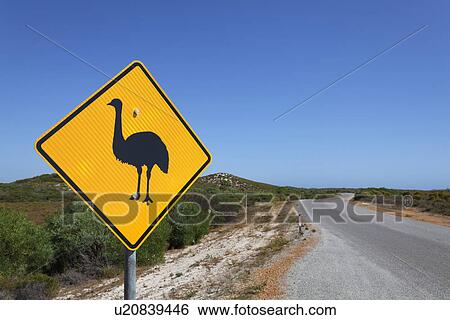 Warning sign of ostriches View Large Photo Image Stock Photograph - Warning sign of ostriches. Fotosearch