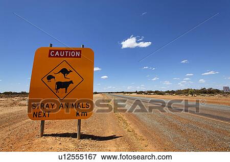 Warning sign of stray animals View Large Photo Image Stock Photo - Warning sign of stray animals. Fotosearch