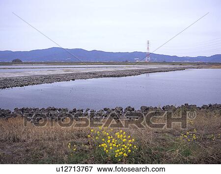 Weir at Yoshino River, Itano Town, Tokushima Prefecture, Japan View Large Photo Image Stock Photo - Weir at Yoshino River, Itano Town, Tokushima Prefecture, Japan. Fotosearch