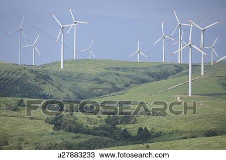 Stock Image - Wind farm, Wakkanai City, Hokkaido Prefecture, Japan. Fotosearch