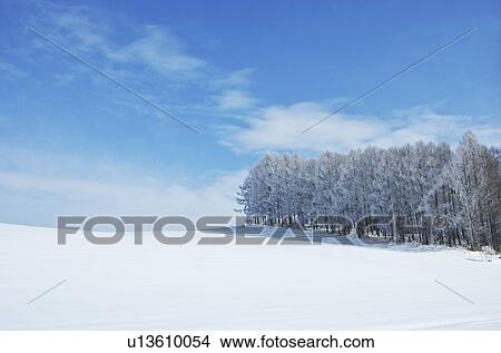 Picture - Winter Landscape. Fotosearch